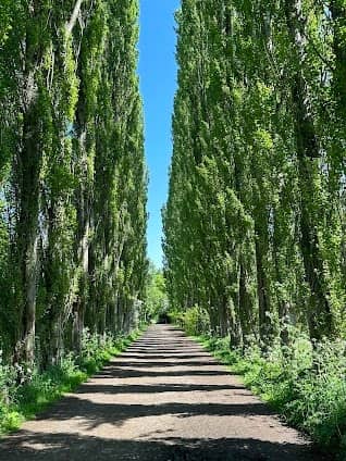 Fletcher Moss Botanical Gardens photo 2