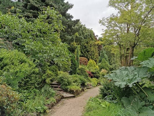 Fletcher Moss Botanical Gardens photo 4