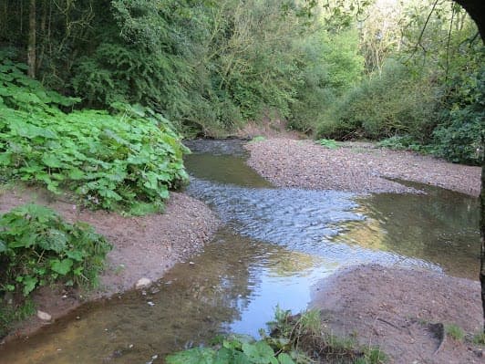 Daisy Nook Country Park