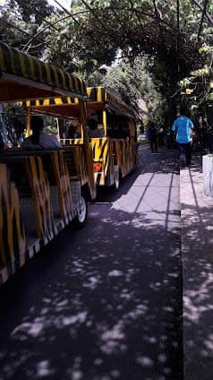 Opposite Dusit Zoo photo 4