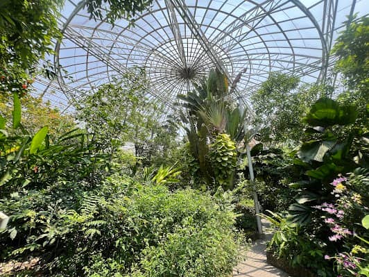 Bangkok Butterfly Garden and Insectarium photo 2