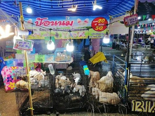 Talad Neon Market