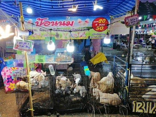 Talad Neon Market