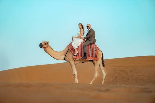 Desert Safari Dubai Tours - All UAE Tours photo 4