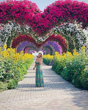 Dubai Miracle Garden photo 4
