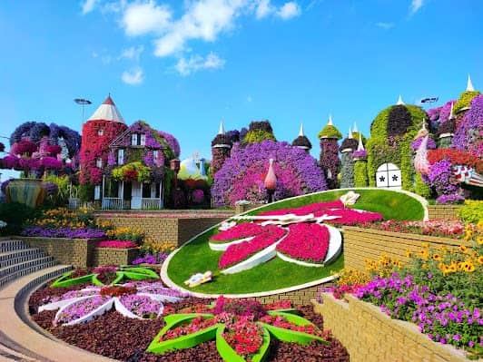 Dubai Miracle Garden photo 2