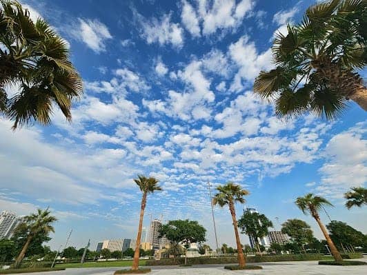 Dubai Science Park - Public Park photo 4
