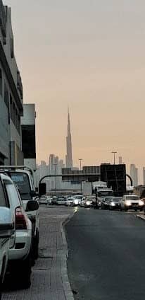 Ras Al Khor photo 3
