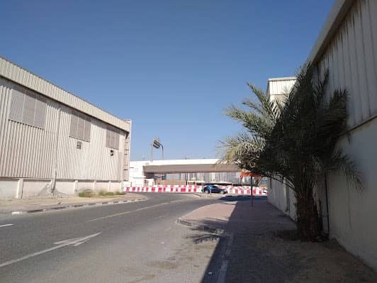 Ras Al Khor photo 5