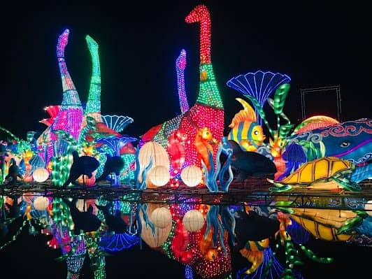 Dubai Garden Glow - Dinosaur Park & Fantasy Park photo 4