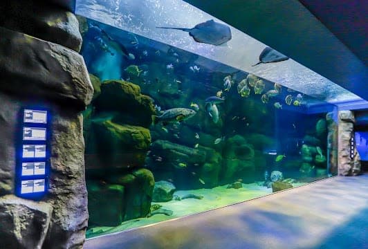 Miyajima Public Aquarium