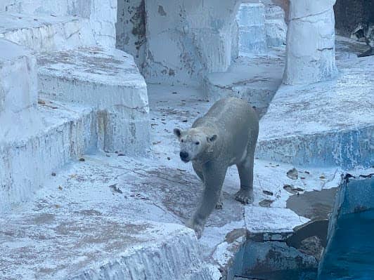 Tennoji Zoo photo 5