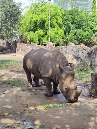 Saigon Zoo & Botanical Gardens