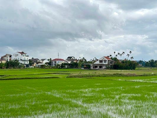 Hoi An Rice Fields-Cycling&Sunset