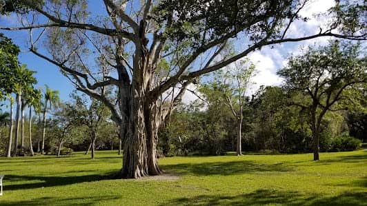 Matheson Hammock Park & Marina photo 2