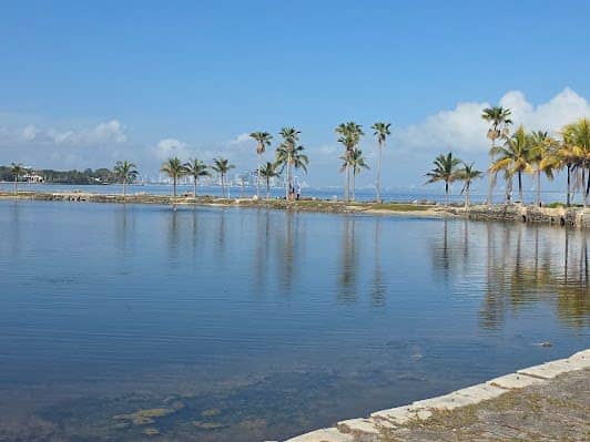 Matheson Hammock Park & Marina photo 4