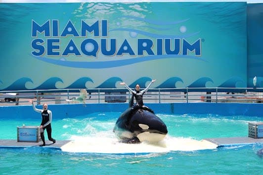 Miami Seaquarium