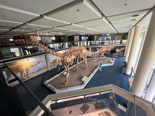 Iziko South African Museum
