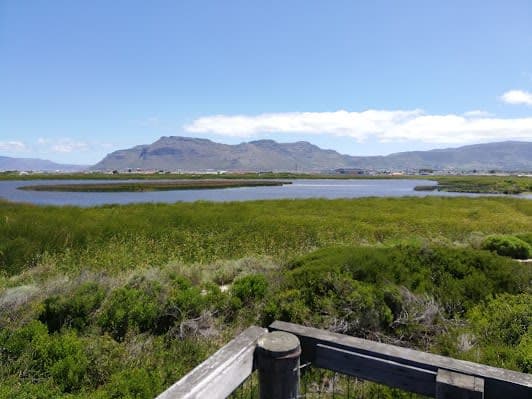 False Bay Nature Reserve - Rondevlei Bird Sanctuary