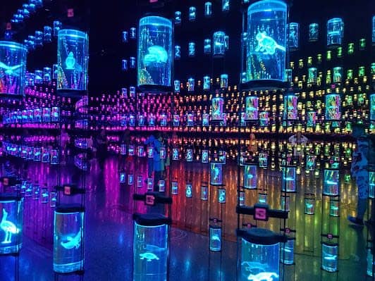 The Museum of the Future photo 5