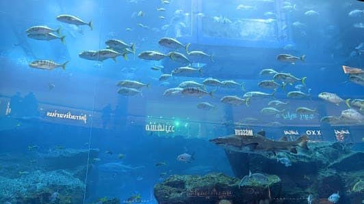 Dubai Mall Fashion Avenue photo 3