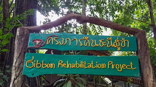Bang Pae Waterfall