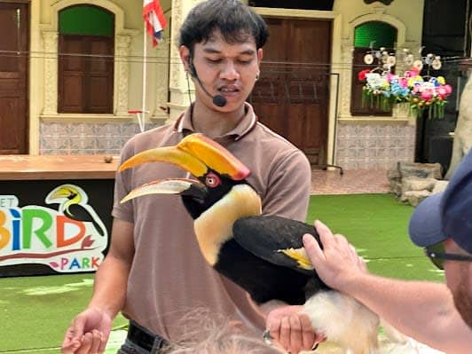Phuket Bird Park photo 4
