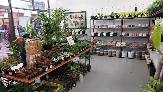 Woodstock Exchange