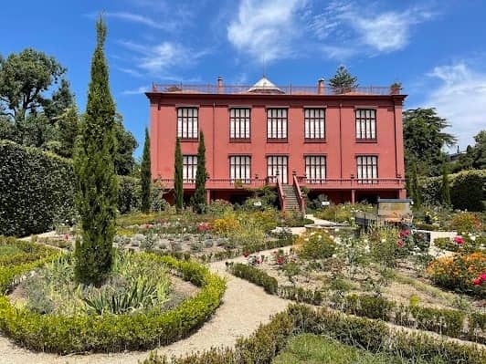 Jardim Botânico do Porto | Museu de História Natural e da Ciência da U.Porto photo 6
