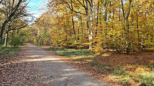 Grunewald