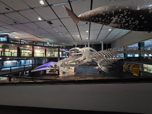 Iziko Planetarium & Digital Dome