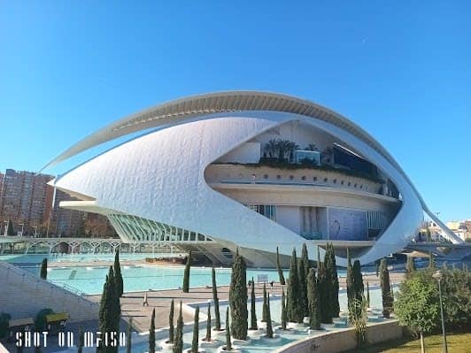 Queen Sofia Palace of Arts photo 6