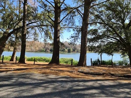 Emmarentia Dam photo 3