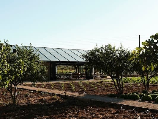 Margi Farm
