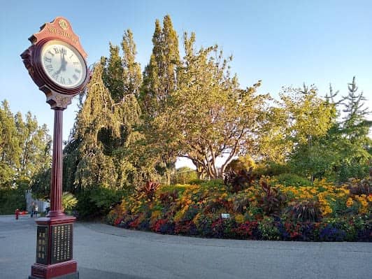 Queen Elizabeth Park photo 5