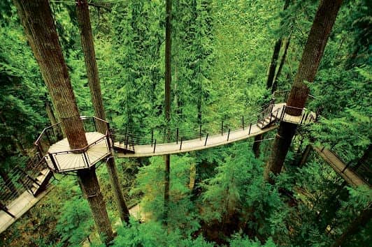 Capilano Suspension Bridge Park photo 3