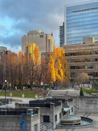 Mel Lastman Square