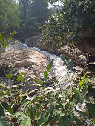 Mae Sa Waterfall photo 4