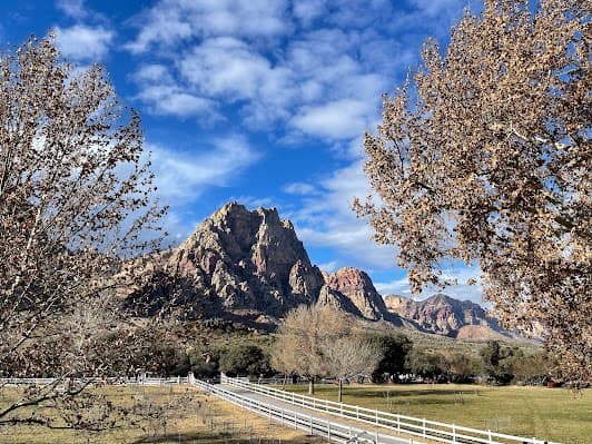 Spring Mountain Ranch State Park