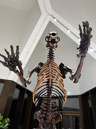 Natural History Museum Abu Dhabi