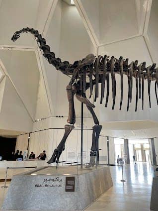 Natural History Museum Abu Dhabi photo 2