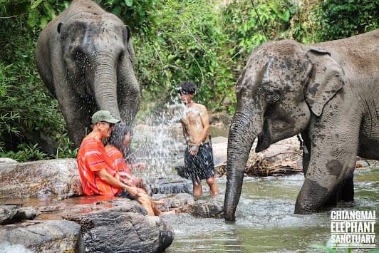 Chiang Mai Elephant Sanctuary