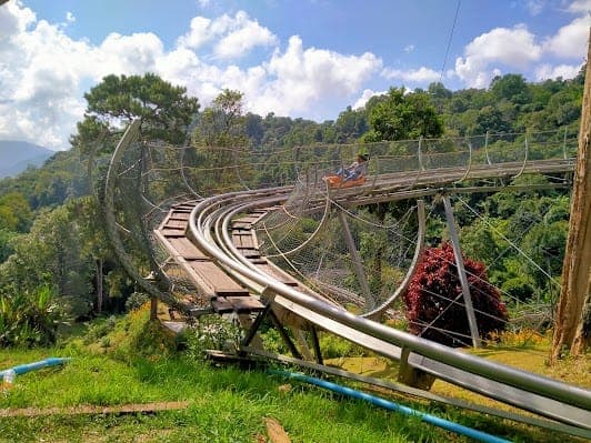 Pong Yang Jungle Coaster & Zipline