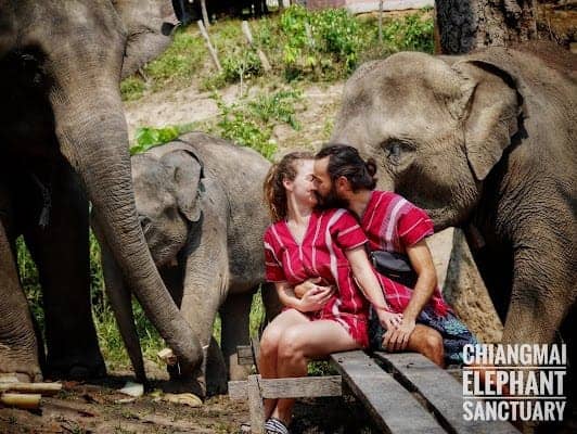 Chiang Mai Elephant Sanctuary photo 5