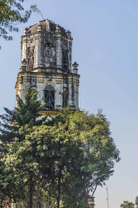 Coyoacán photo 2