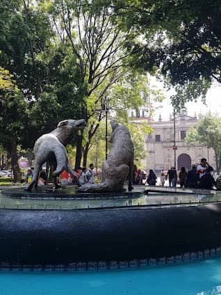 Coyoacán photo 4