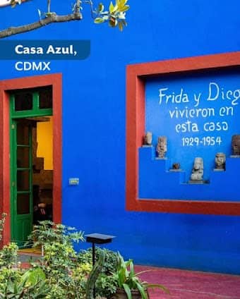 Frida Kahlo Museum photo 5