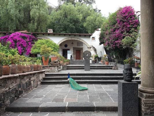 Museo Dolores Olmedo photo 2