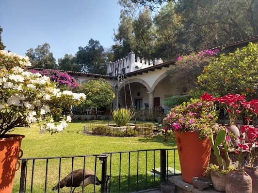 Museo Dolores Olmedo photo 3