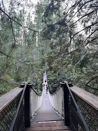 Lynn Canyon Suspension Bridge photo 5